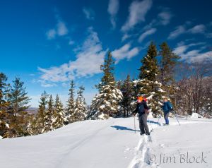 14  DD536-On-Bog-with-snowshoes--Pan-(3).jpg